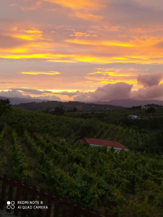 Casa Das Vinhas Velhas By Casa Do Poco Peso da Régua Exteriör bild